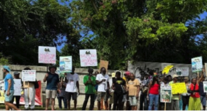 Activists from JaBBEM took to the streets in St Ann