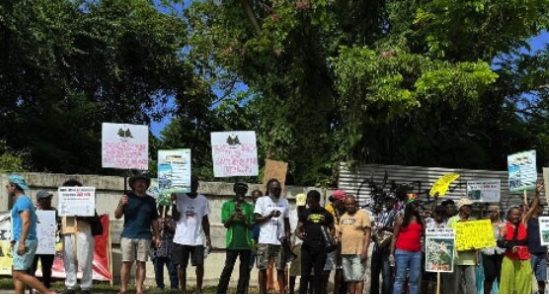Activists from JaBBEM took to the streets in St Ann