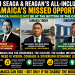 Seaga and Reagan's all-inclusive to Jamaica's missed opportunity to Andrew Holness doubled down on tourism, while Singapore created opportunities
