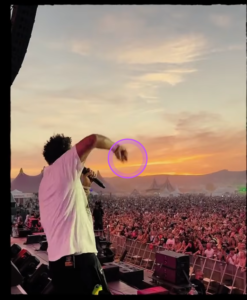 Jamaica Reggae dancehall Artiste performing at a large crowd in Lithuania